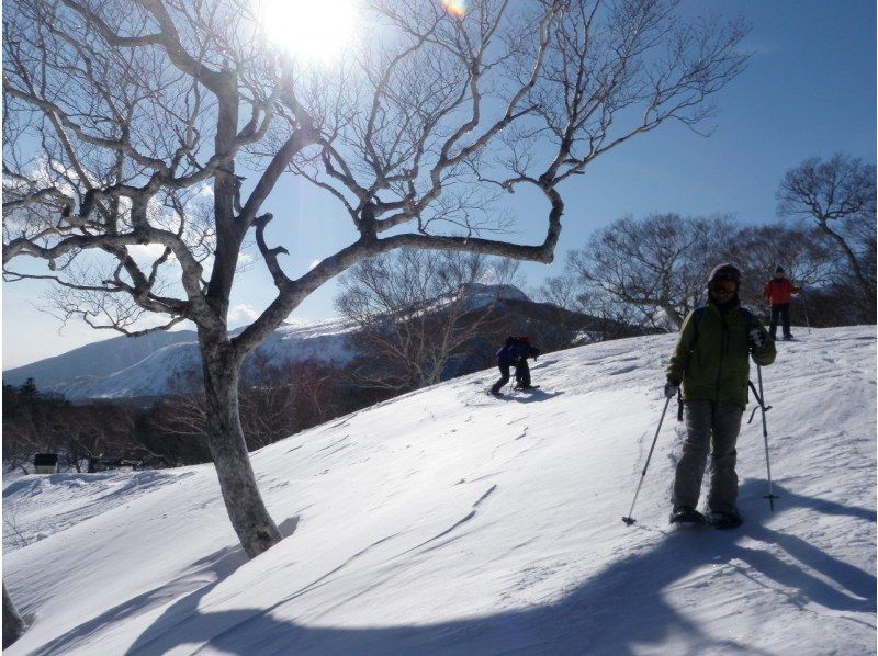 【栃木県・那須高原】極上の雪上熱々ランチ!「那須スノーシュートレッキング」温泉付き（茶臼岳山麓）の紹介画像