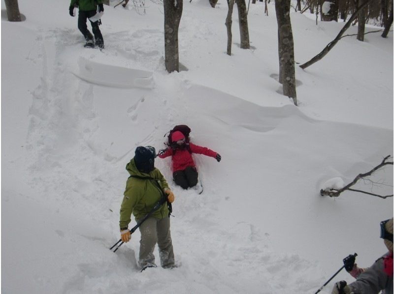 [Tochigi/ Nasu Kogen] “ Snowshoes Downhill” lunch at Mt. JEANS!の紹介画像