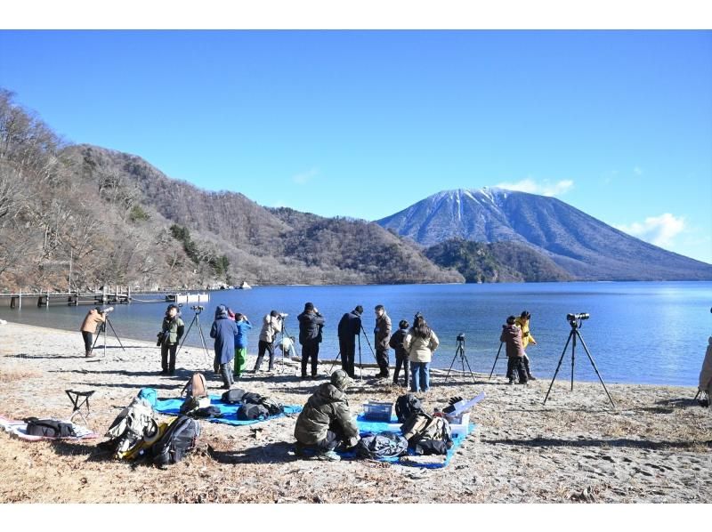 【初心者大歓迎！バードウォッチング入門イベント】オオワシ・オジロワシをさがそう！【冬空に舞う・中禅寺湖空の王者】【栃木県・奥日光】の紹介画像