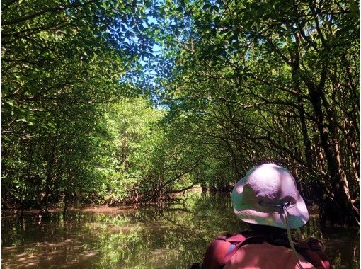 【沖縄・石垣島】手軽に半日マングローブdeジャングルカヤック|小さなお子様からご参加OK! 【沖縄・石垣島】手軽に半日マングローブdeジャングルカヤック|小さなお子様からご参加OK!