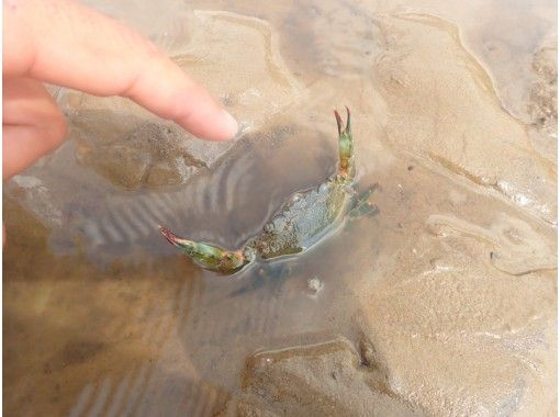 【沖縄・石垣島】手軽に半日マングローブdeジャングルカヤック|小さなお子様からご参加OK! 【沖縄・石垣島】手軽に半日マングローブdeジャングルカヤック|小さなお子様からご参加OK!