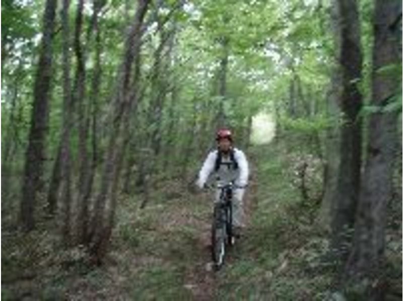 【MTB】 Mountain Bike Guided Tour in Nasu Highland Fukayama Dam Course  Activity Japan