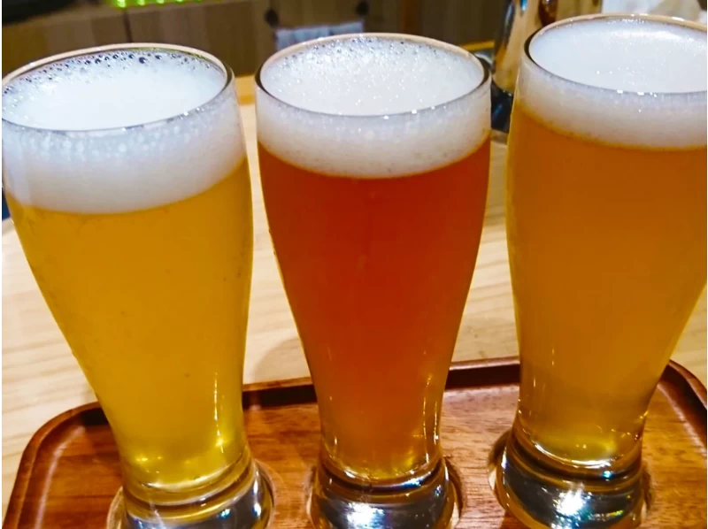[Tokyo Kozushima] Hyuga Brewery Beer Tastingの紹介画像