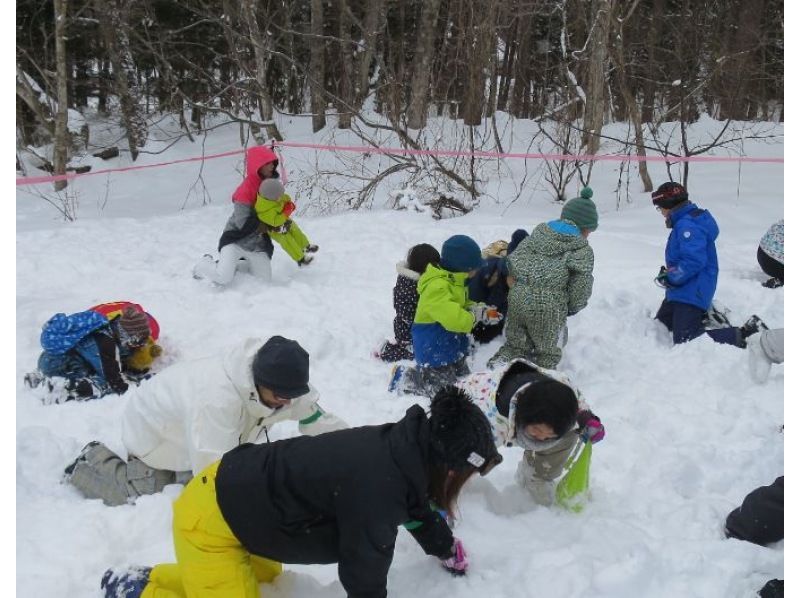 【長野・大町市　スノーゲーム】雪上運動会・スノーゲーム・チーム力アップの紹介画像