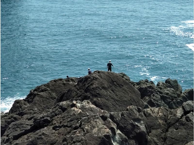 【徳島・美波町】阿瀬比の鼻トレッキングの紹介画像