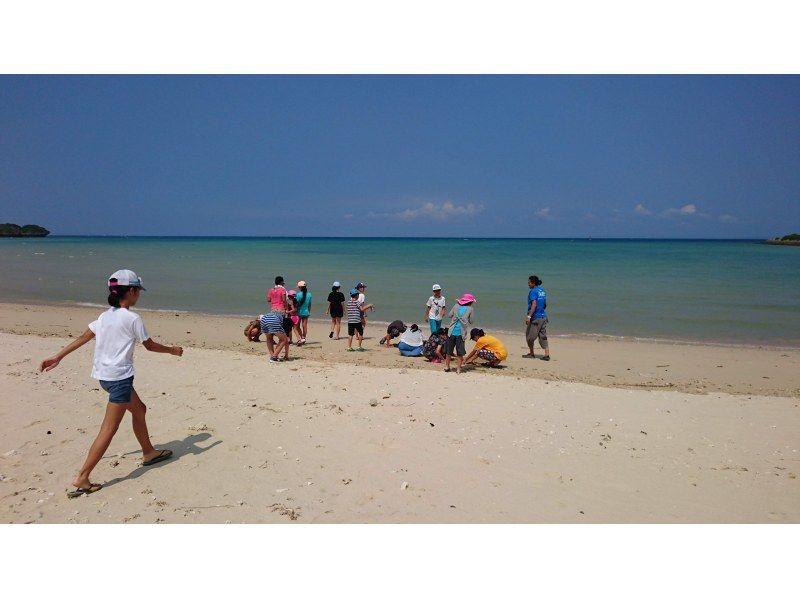 【沖縄.南部】伝統　海水豆腐つくり　海あそび　エコツアーの紹介画像