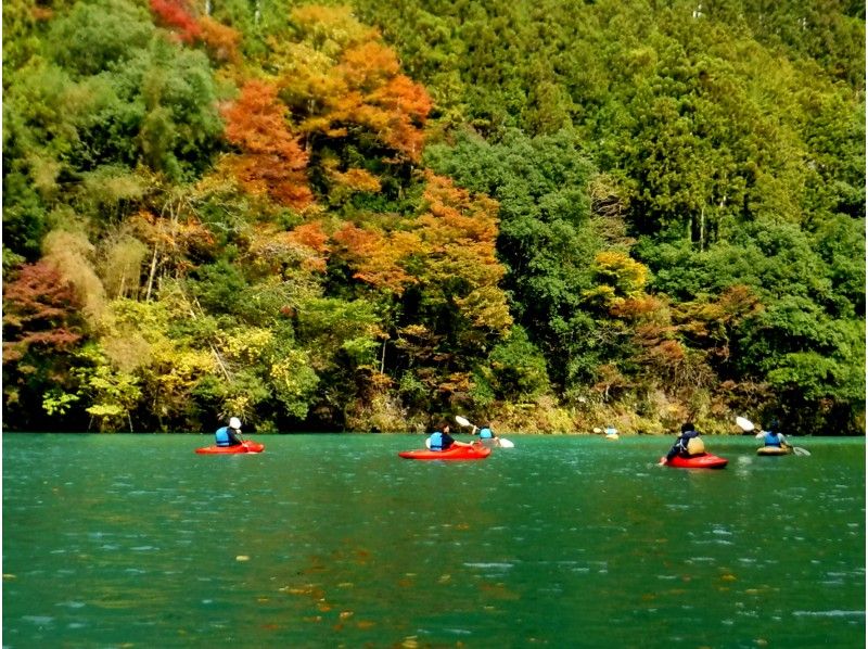 【東京・奥多摩】白丸湖・秋のもみじ狩りカヤックの紹介画像