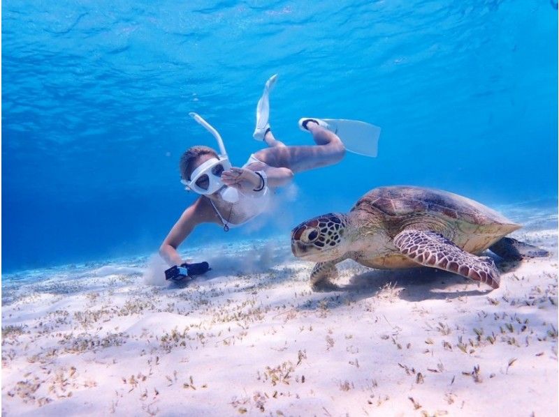 [Okinawa / Zamami] Beginners are welcome! Perfect measures against corona! SUP & Sea Turtle Snorkel Course (2h) Photo Present!の紹介画像