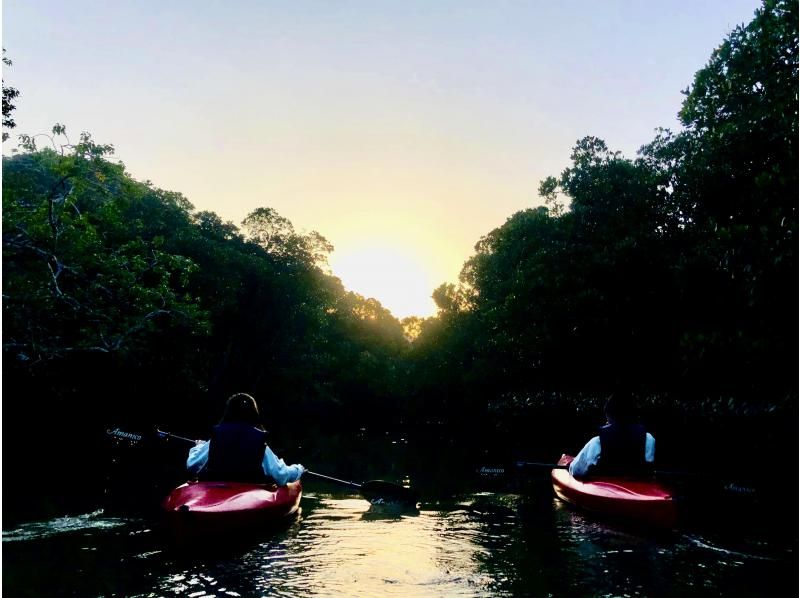 [Kagoshima/Amami Oshima] Sunset mangrove canoe and night forest tour (240 minutes) Private available