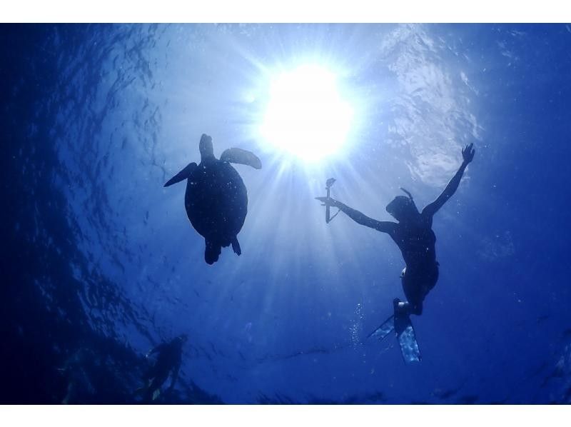 [오키나와·이시가키지마] 바다 거북 및 산호초 스노클링! 반나절 코스 (오전 / 오후) 수중 사진 선물 포함!の紹介画像