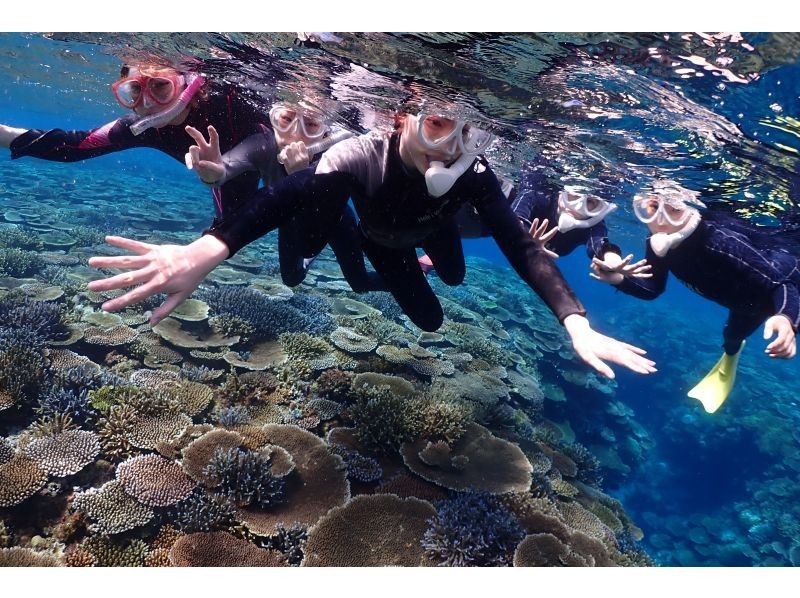 [冲绳石垣岛]海龟和珊瑚礁通气管！半天课程（上午/下午），附有水下照片礼物！の紹介画像