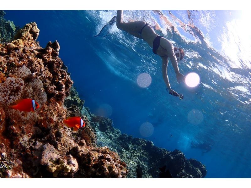 [Okinawa Ishigaki] Sea turtle & coral reef snorkel! half-day course (am / pm) with underwater photo