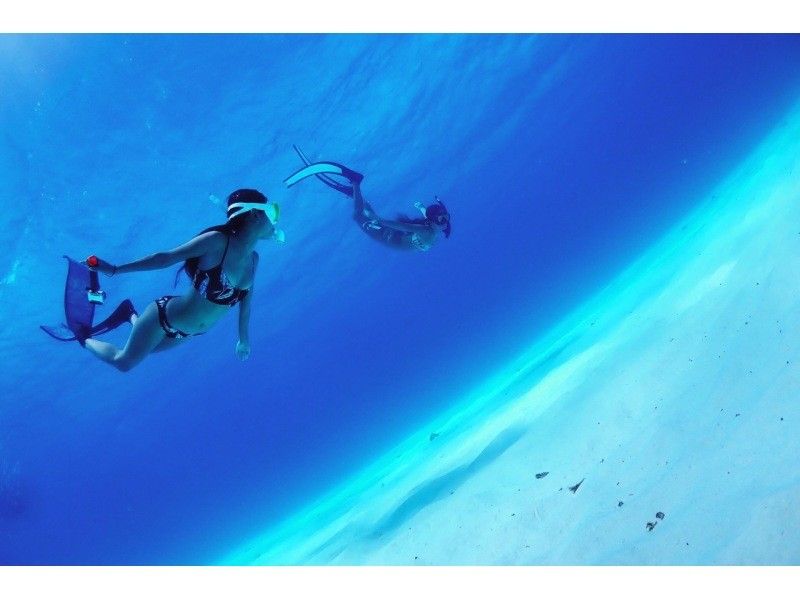 [โอกินาว่า/ เกาะอิชิงากิ] ☆หลักสูตรครึ่งวันแนะนำ ☆ดำน้ำตื้น! (เช้า/บ่าย) รวมของขวัญภาพถ่ายใต้น้ำ!の紹介画像