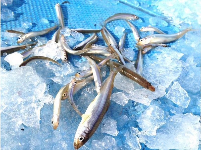 [นากาโนะ/ Kizaki Lake] ยินดีต้อนรับผู้เริ่มหัดตกปลาเยือกแข็ง(Smelt Fishing)อย่างแน่นอนในวันหนึ่ง! สนุกกับครอบครัวและเพื่อนของคุณ!の紹介画像