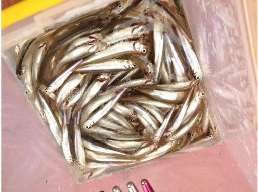 長野 木崎湖 ワカサギ釣り1日じっくりコース 初心者歓迎 ご家族 お仲間で楽しめます アクティビティジャパン 長野 木崎湖 ワカサギ釣り1日じっくりコース 初心者歓迎 ご家族 お仲間で楽しめます アクティビティジャパン
