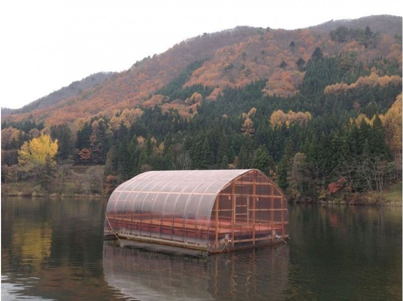 [Nagano/ Kizaki Lake] Recommended for groups! Smelt fishing deals dome charter plan (capacity of 17 people per dome)の紹介画像