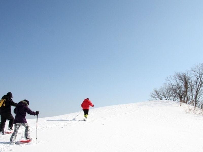 [เฮียวโกะ-ทาจิมะ]กิจกรรมเดินหิมะ(Snowshoes)ทัวร์ประสบการณ์ (หลักสูตร 1 วัน)の紹介画像