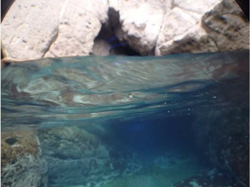 [熊本/天草]從藍色洞窟船浮潛の紹介画像