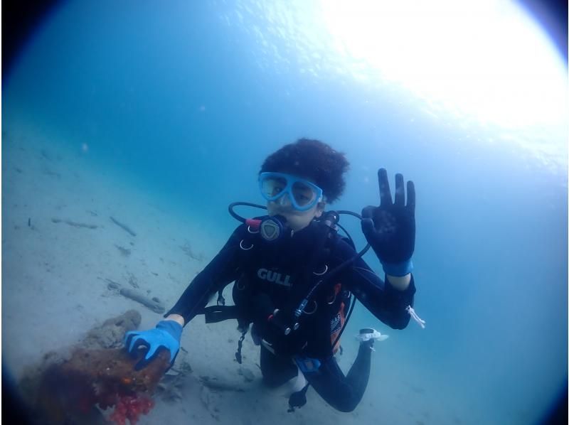 ★ [Kumamoto/Amakusa] [Held from 1 person] Experience diving tour by boat ~ Ushibuka, the southernmost point of Amakusa ★ Free video giftの紹介画像