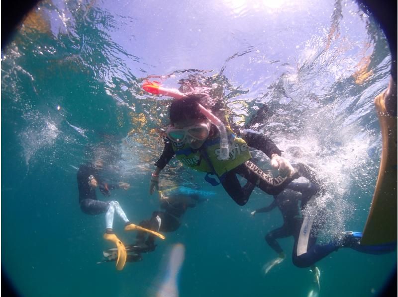 ★ [Kumamoto/Amakusa] Snorkeling course by boat ~ Ushibuka, the southernmost point of Amakusa ★ Free video giftの紹介画像