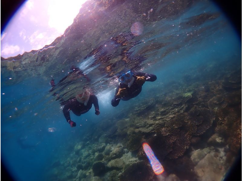 ★ [Kumamoto/Amakusa] Snorkeling course by boat ~ Ushibuka, the southernmost point of Amakusa ★ Free video giftの紹介画像