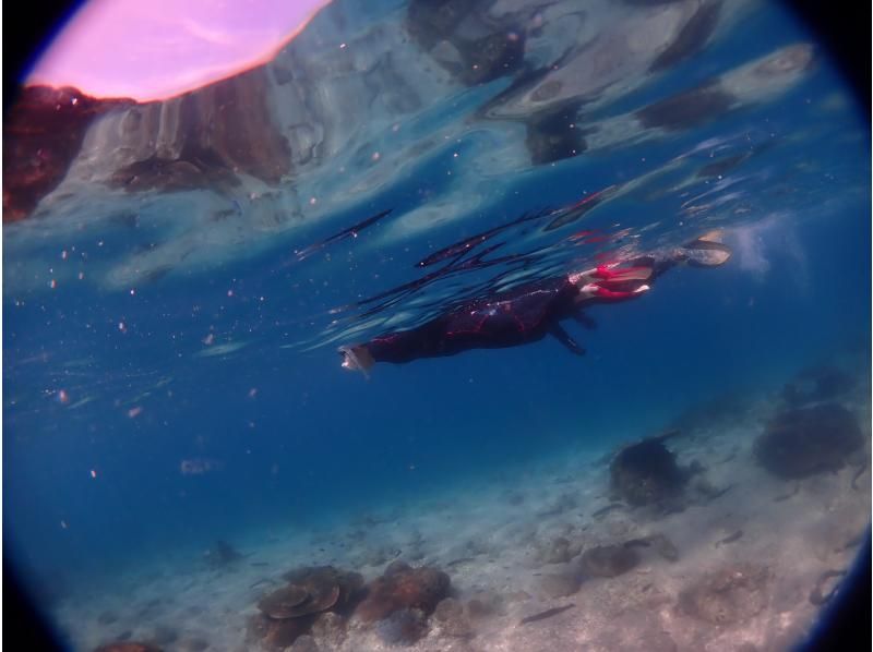 ★ [Kumamoto/Amakusa] Snorkeling course by boat ~ Ushibuka, the southernmost point of Amakusa ★ Free video giftの紹介画像