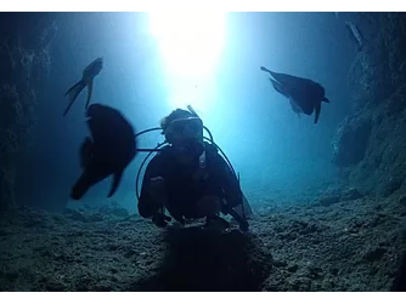 [沖縄繩恩納村]完整的章程！藍洞體驗深潛（附餵食和照片/動畫禮物）の紹介画像