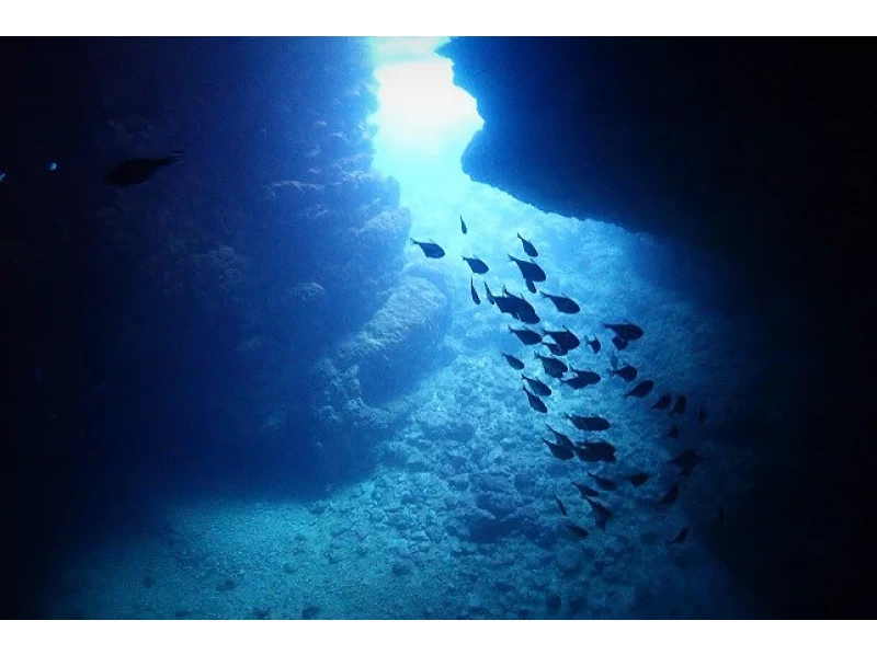 [沖縄繩恩納村]完整的章程！藍洞體驗深潛（附餵食和照片/動畫禮物）の紹介画像