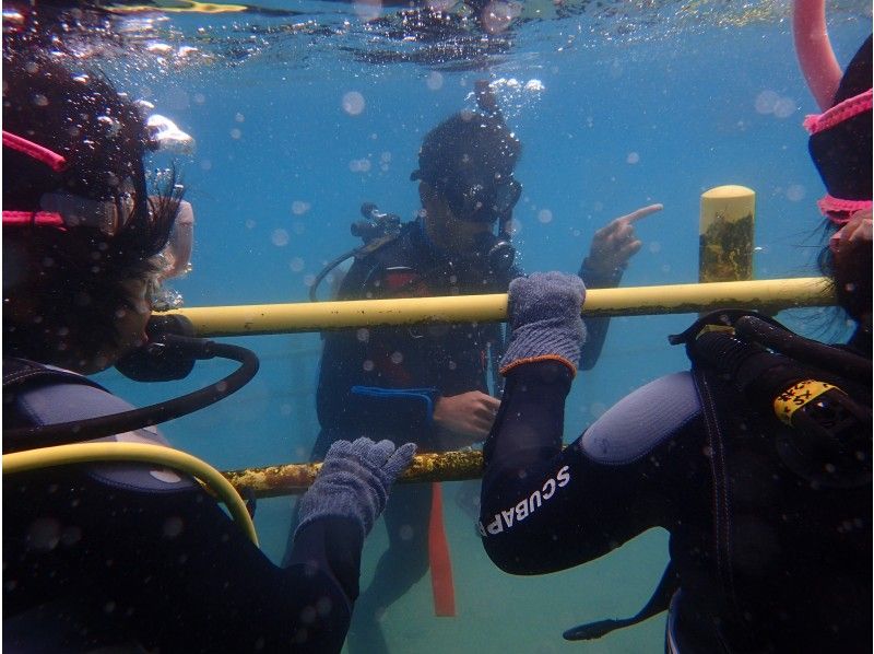 [Okinawa/Naha] PADI Open Diver Course (OWD) / private learning with guest's pace