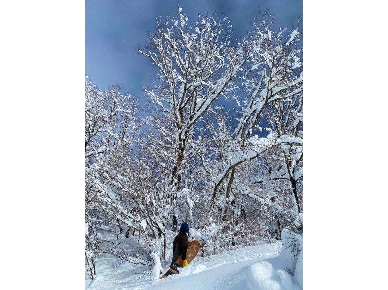 【滋賀・高島】「雪板」アクティビティツアー＠箱館山スキー場の紹介画像