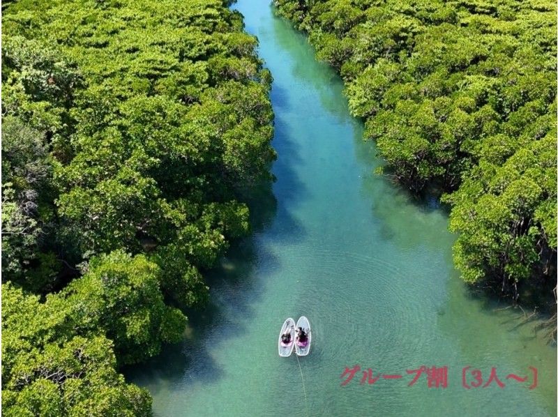 【石垣島•大人気スポット】熱帯雨林の大自然を颯爽♪不思議な森マングローブをSUPorカヤック体験➕上陸探索付き➕写真&動画撮影無料！当日OKの紹介画像