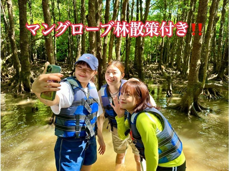 【石垣島•大人気スポット】熱帯雨林の大自然を颯爽♪不思議な森マングローブをSUPorカヤック体験‼️上陸し探索生き物を探そう‼️雨天参加可の紹介画像