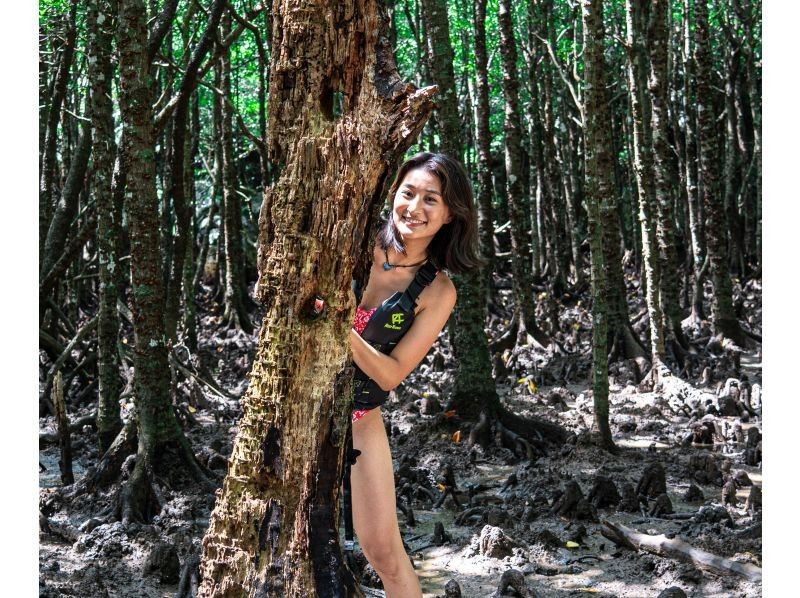 【石垣島•大人気スポット】熱帯雨林の大自然を颯爽♪不思議な森マングローブをSUPorカヤック体験‼️上陸探索付き‼️当日予約OK‼️の紹介画像