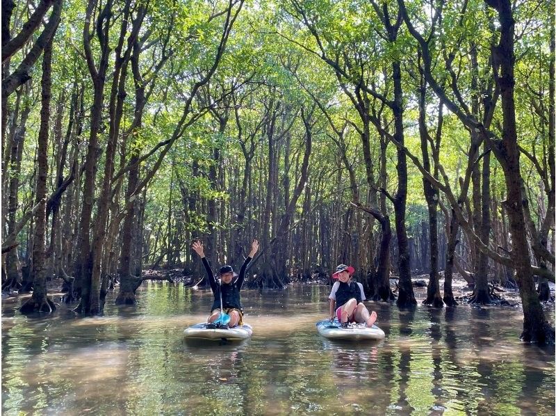 【石垣島】学生応援価格‼️不思議な森マングローブをカヤック/sup体験＆上陸し植物や生き物を知るジャングル冒険ツアー❗️写真&bull;動画無料！の紹介画像