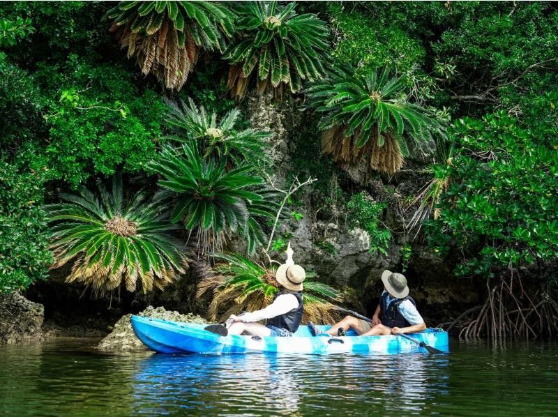 【石垣島・大人気スポット】SUP orカヤック体験‼️熱帯雨林の自然を颯爽♪『不思議な海の森マングローブ』写真付き‼️シャワー更衣室完備‼️