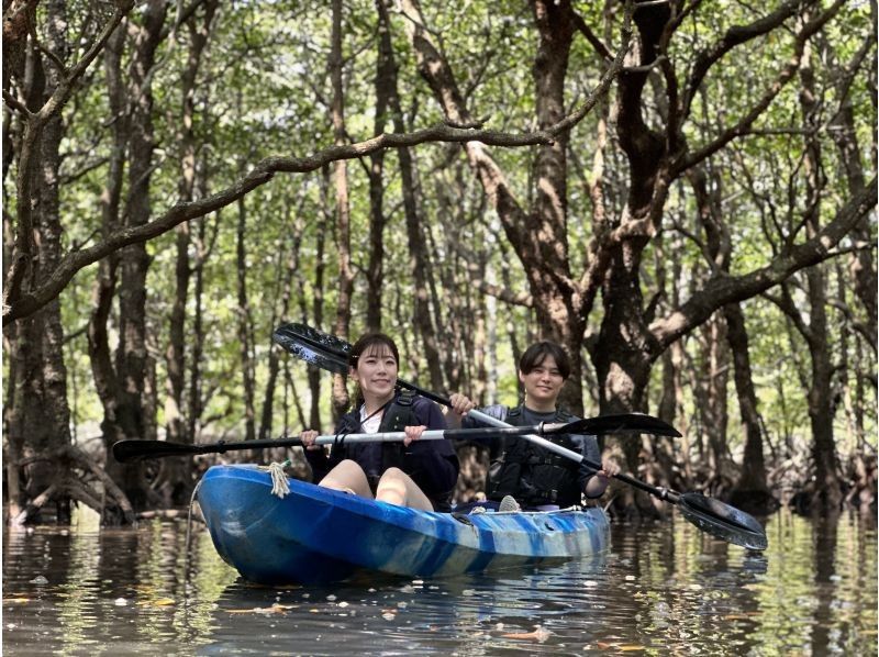 【石垣島】学生応援価格‼️不思議な森マングローブをカヤック/sup体験＆上陸し植物や生き物を知るジャングル冒険ツアー❗️写真&bull;動画無料！の紹介画像