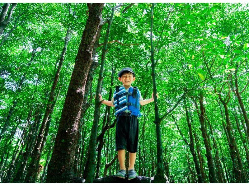【石垣島•大人気スポット】熱帯雨林の大自然を颯爽♪不思議な森マングローブをSUPorカヤック体験‼️上陸探索付き‼️当日予約OK‼️の紹介画像