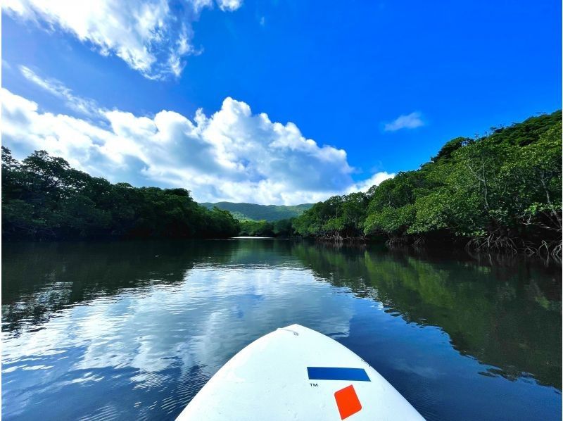 【石垣島】学生応援価格‼️不思議な森マングローブをカヤック/sup体験＆上陸し植物や生き物を知るジャングル冒険ツアー❗️写真&bull;動画無料！の紹介画像