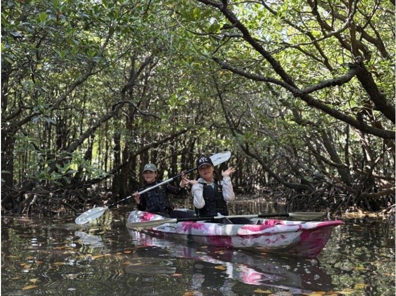 【石垣島】学生応援価格‼️不思議な森マングローブをカヤック/sup体験＆上陸し植物や生き物を知るジャングル冒険ツアー❗️写真&bull;動画無料！の紹介画像