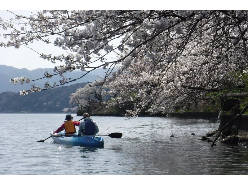 【福井・若狭】「春カヤック」湖上でお花見！ 三方五湖コース [2時間] の紹介画像