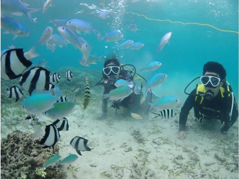 [Okinawa Miyakojima] Invite to a new world! Beach experience Diving! ! Free underwater camera Rental! !の紹介画像