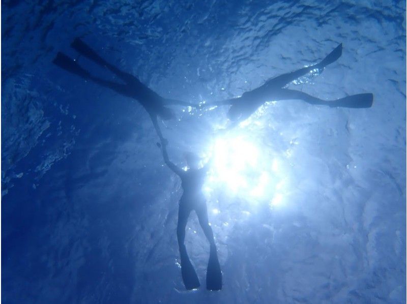 [沖繩/宮古島]讓我們享受宮古島的海洋！乘船體驗潛水！ !!免費水下攝影機出租！ !!含午餐の紹介画像