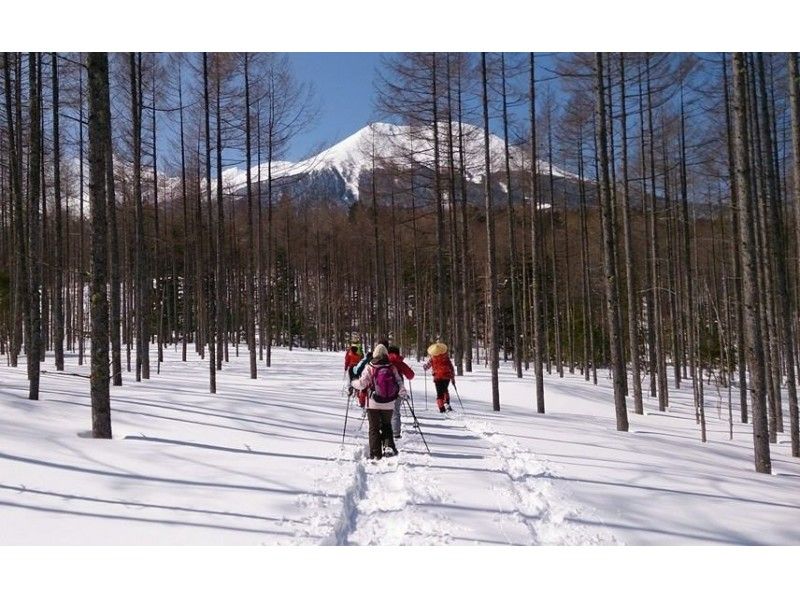 長野 スノーシュー体験 装備レンタル可 絶景コース多数 初心者おすすめ日帰りスノートレッキング体験ツアープラン 開催ショップ情報 アクティビティジャパン