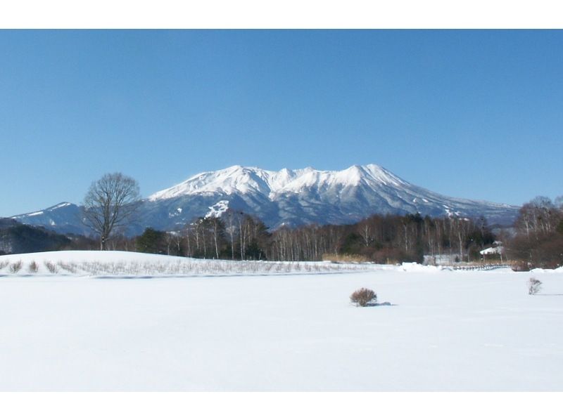 [Nagano / Kiso Kaida Kogen] Beginners are welcome! Snowshoes at any timeの紹介画像