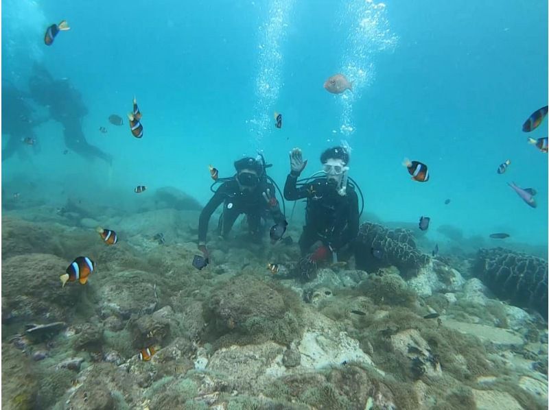 [柏島GO！ ] 在愛媛縣松山市道後的魚類天堂“柏島”體驗潛水之旅の紹介画像