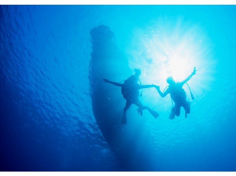 [柏岛GO！ ] 在爱媛县松山市道后的鱼类天堂“柏岛”体验潜水之旅の紹介画像