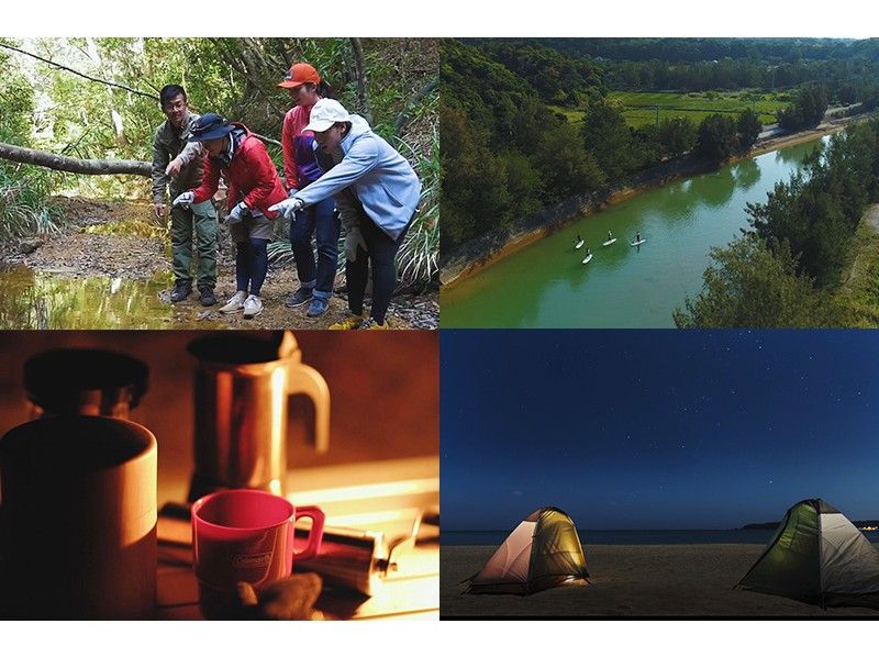 [Northern Okinawa] Enjoy the outdoor experience "Bushcraft" to fully enjoy the nature of Yanbaru for 1 night and 2 days! Coexistence with nature under the starry sky, beach camping and luxurious meals includedの紹介画像
