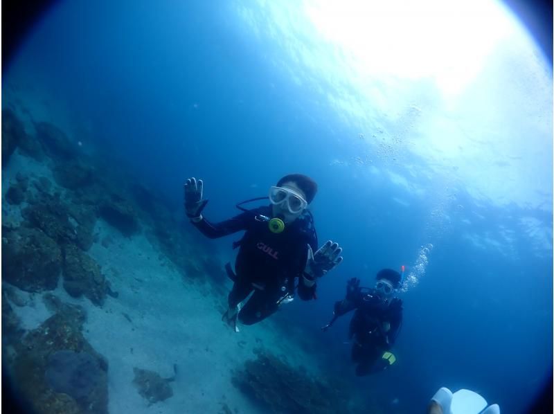 [Kumamoto/Amakusa] Departure from 1 person ~ Boat fun dive {/Our own diving boat equipped with flush toilets}の紹介画像