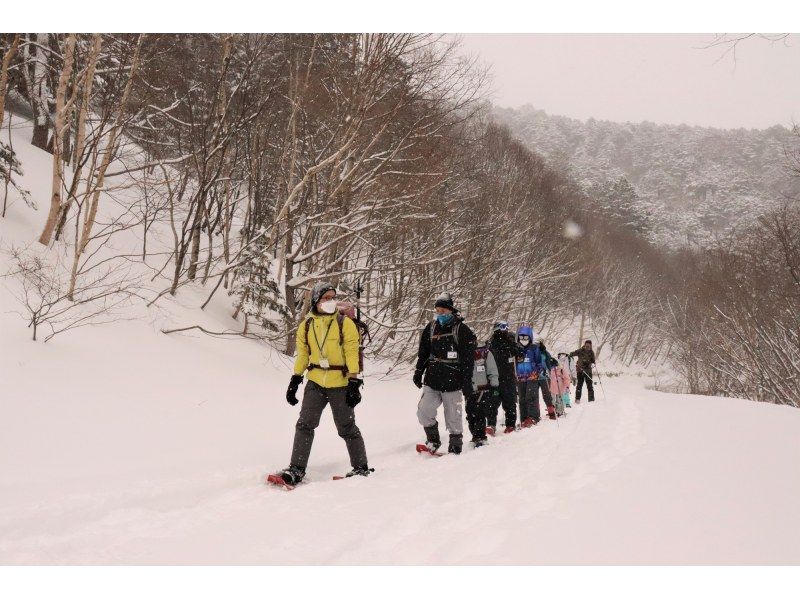 初心者・経験者どちらも歓迎！スノーシューで雪の森へ！2025【栃木・奥日光】 の紹介画像