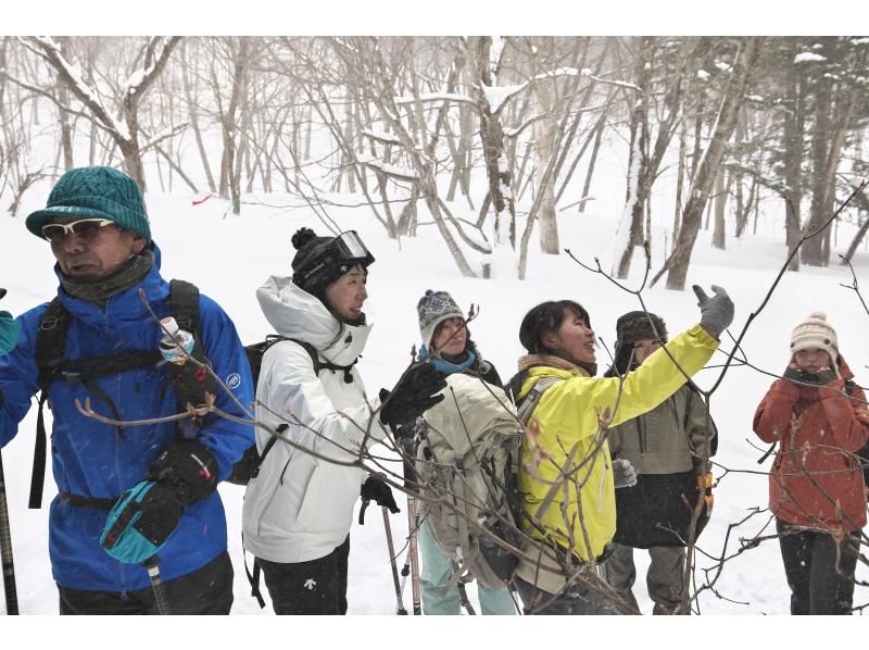 初心者・経験者どちらも歓迎！スノーシューで雪の森へ！2026【栃木・奥日光】 の紹介画像